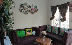 La Casa Del Pinito