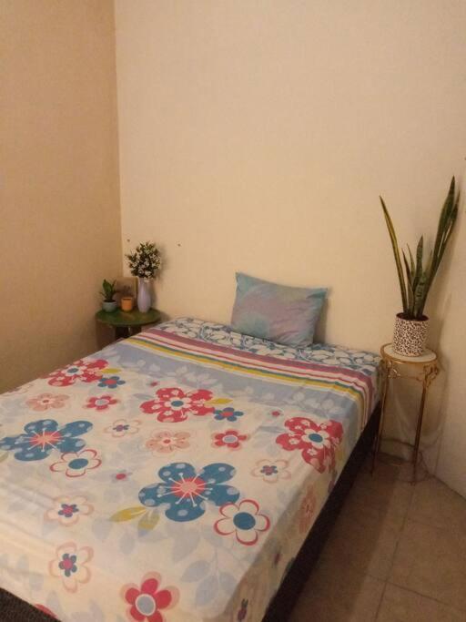 La Casa Del Pinito Apartment Sonsonate Exterior photo